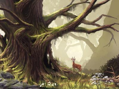 Forest Scene